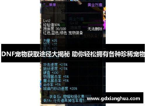 DNF宠物获取途径大揭秘 助你轻松拥有各种珍稀宠物